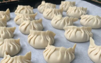 Gyoza – Ravioli Orientali